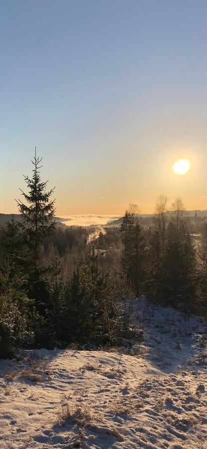 Apartamento Torpgarden Oennerudsvaegen 56 Torsby Exterior foto