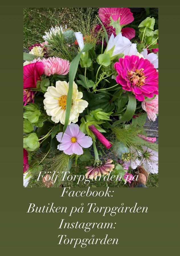 Apartamento Torpgarden Oennerudsvaegen 56 Torsby Exterior foto