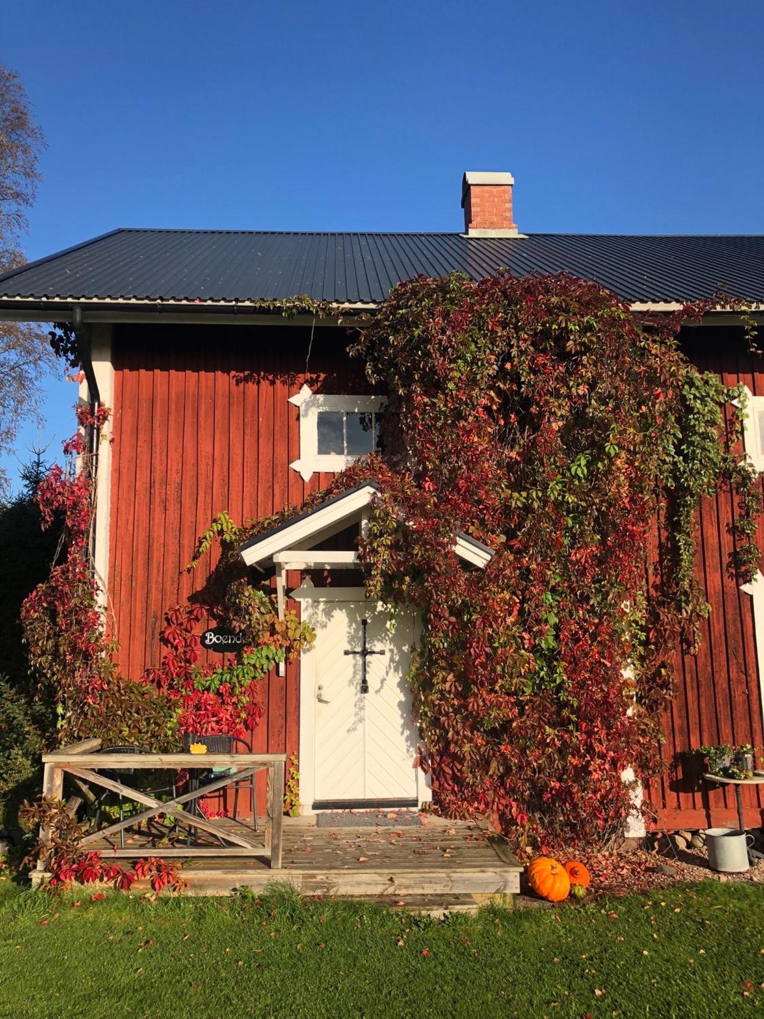 Apartamento Torpgarden Oennerudsvaegen 56 Torsby Exterior foto