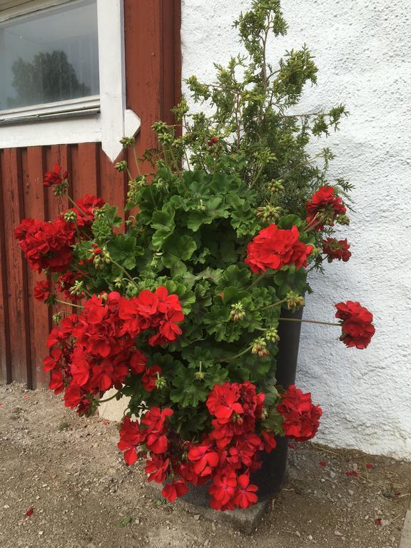 Apartamento Torpgarden Oennerudsvaegen 56 Torsby Exterior foto