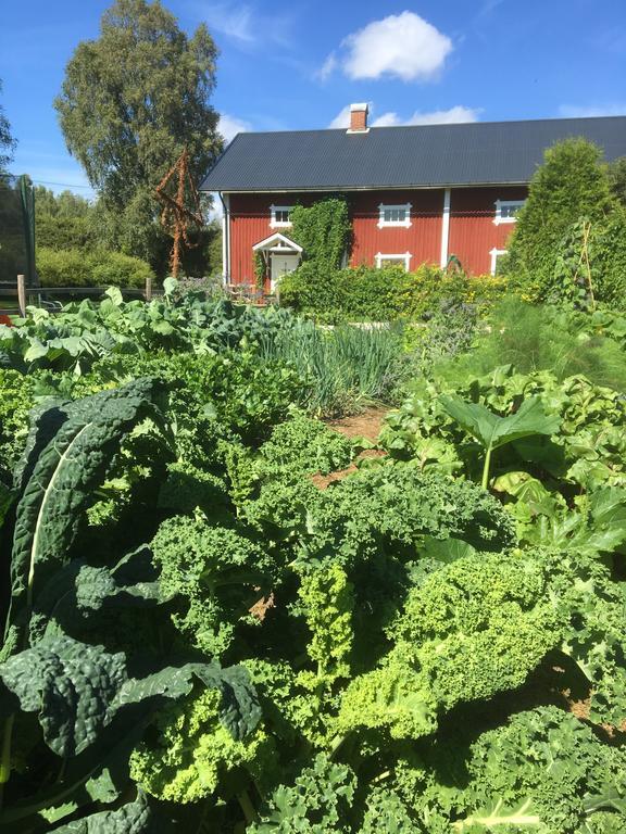 Apartamento Torpgarden Oennerudsvaegen 56 Torsby Exterior foto